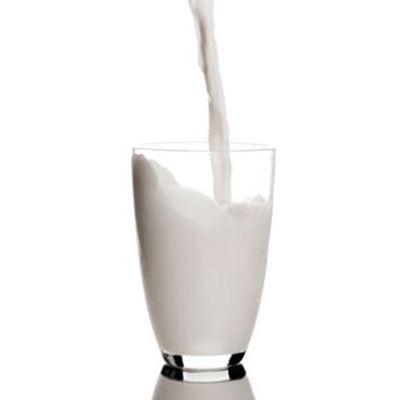 Moose milk? UN food agency says yes please