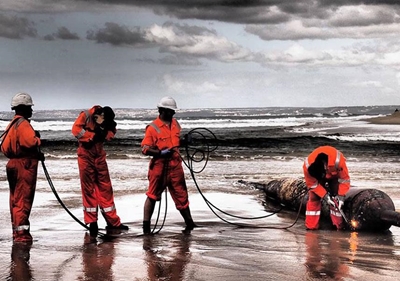 Vreemde voorwerp van strand verwyder