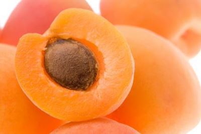 Pick your own apricots
