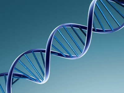 Scientists decode oldest-known 'human' DNA