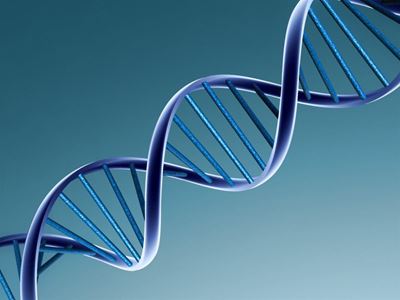 Scientists decode oldest-known 'human' DNA