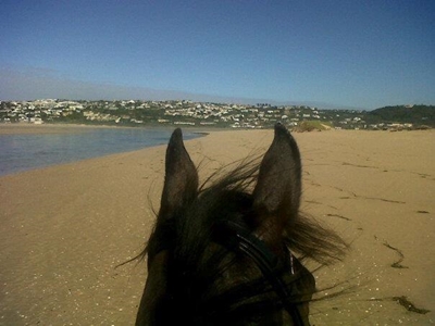 Beach rides spoilt by resident