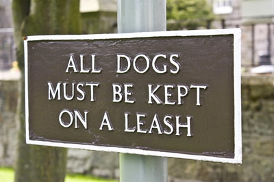 Guidelines for walking dogs