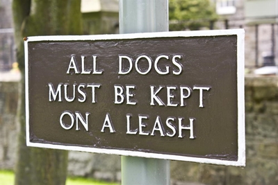 Guidelines for walking dogs