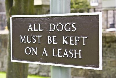 Guidelines for walking dogs