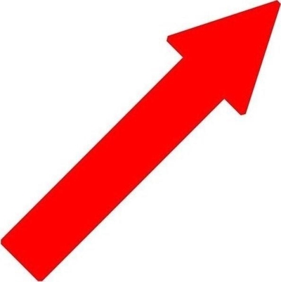 Tourist arrivals grow