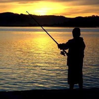 Rules in (fishing) paradise