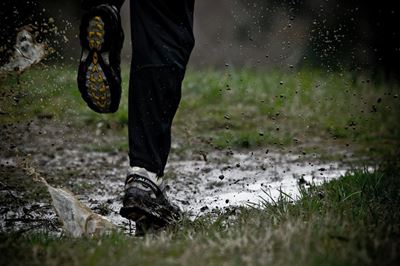 Kraaibosch Trail Run this Saturday