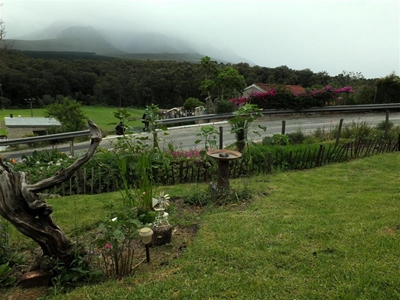 Blanco gardening competition