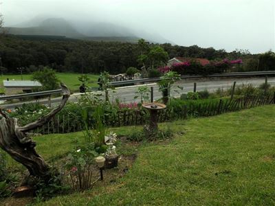 Blanco gardening competition