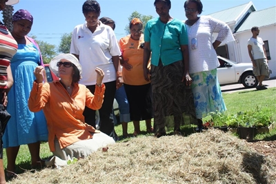 Groentetuin vir Kansa