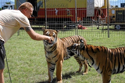Meet the world renowned lion tamer