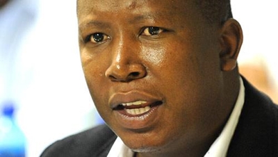 Malema lawyers want time to study docket