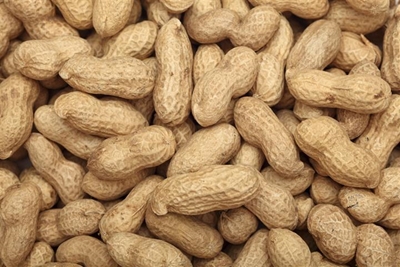 Using peanuts to cure allergy