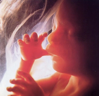 US abortions fall to 40-year low