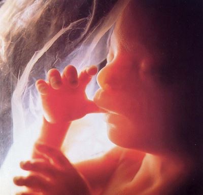 US abortions fall to 40-year low