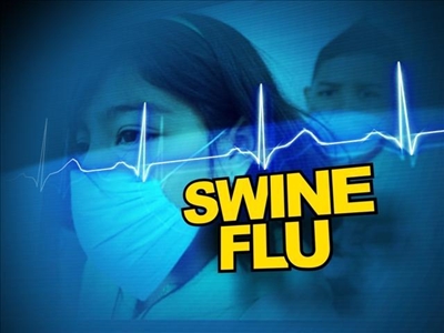Swine flu kills 24 across Egypt