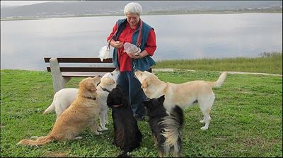 Fun doggy day this Saturday