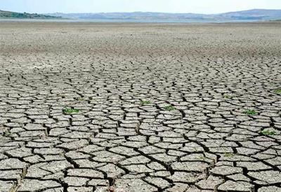 Droogte: Nood verdiep
