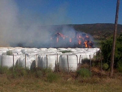 Kinders glo verantwoordelik vir brand
