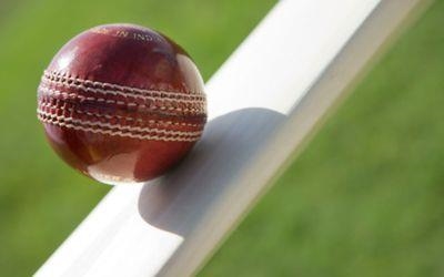 SA could play extra batter at seven: Hudson