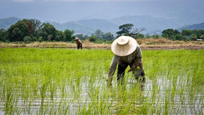 Thai rice farmers call of airport protest