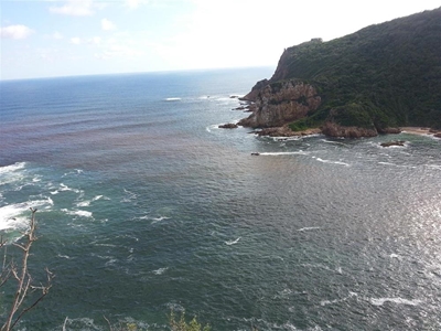 Another expert's opinion on red tide