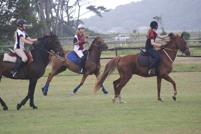 Polocrosse tournament in Wilderness