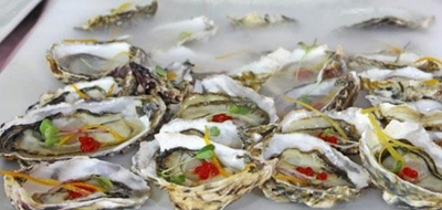 Oyster Festival 2014