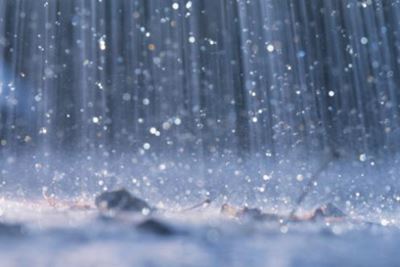 Heavy rains cause havoc