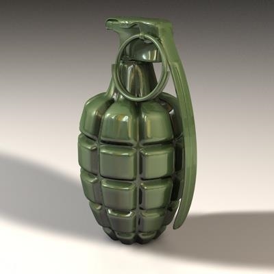 Man kills bus driver with hand grenade in Bosnia