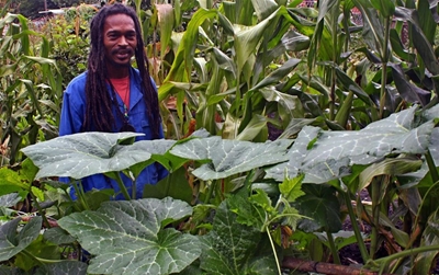 Visit winning Blanco gardens