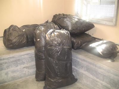 Plettenberg Bay drug bust