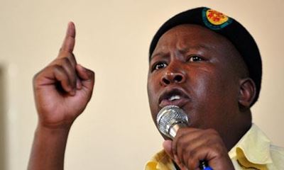 More Twitter support for Malema than Zille