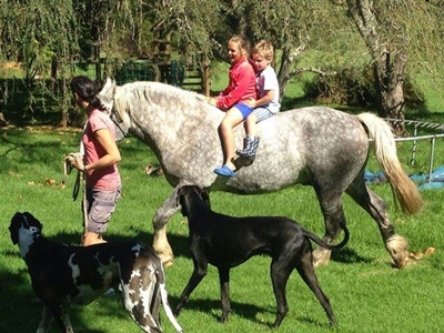 Young Hessequa riders learn valuable skills