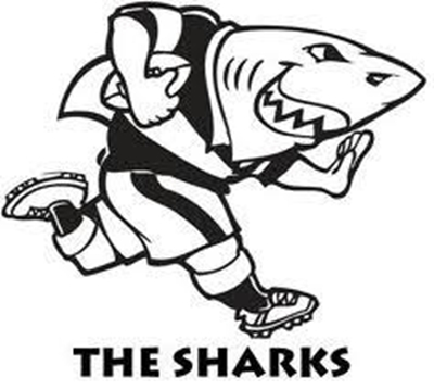 Sharks' Deysel moves to Japan