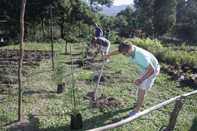 30 trees planted in Wilderness
