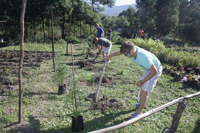 30 trees planted in Wilderness