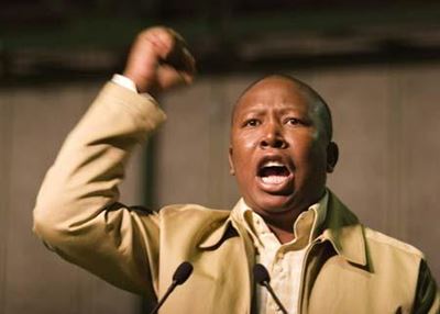 Malema responds to open letter