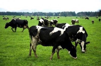 Farmers: Plan, protect and prevent