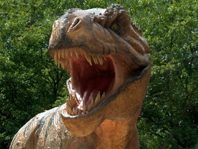 Scientists find new member of Tyrannosaurus rex family