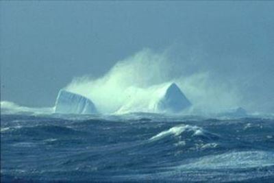 Southern Ocean winds strongest in 1000 years: Study