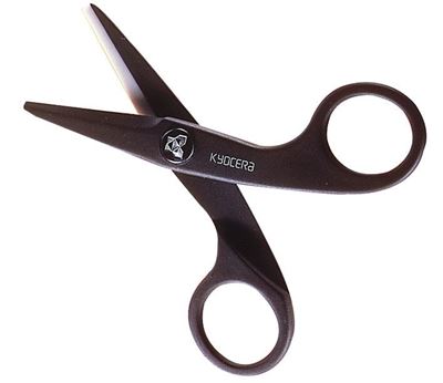 Man nabbed for hijacking bus with scissors