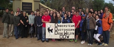 Sakelui stap vir dierewelsyn