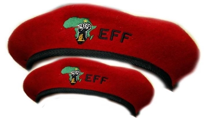 EFF livens up Parliament