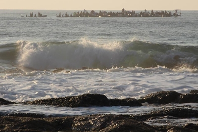 Paddle Out for Sharks at Buffel's Bay