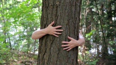 Thousands in Nepal hug trees in world record bid