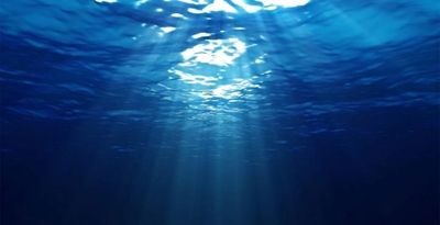 Celebrate World Oceans Day this Sunday
