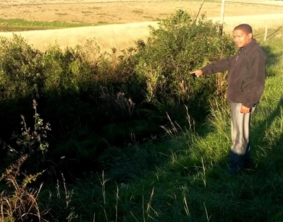 Lyk oorkant Sinksabrug kafee gevind