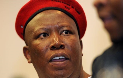 Malema makes parliament a circus: CDP